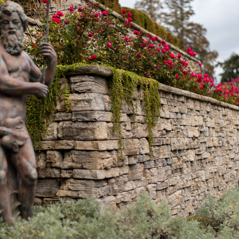 Rosetta Belevedere Wall Kakwa Stone