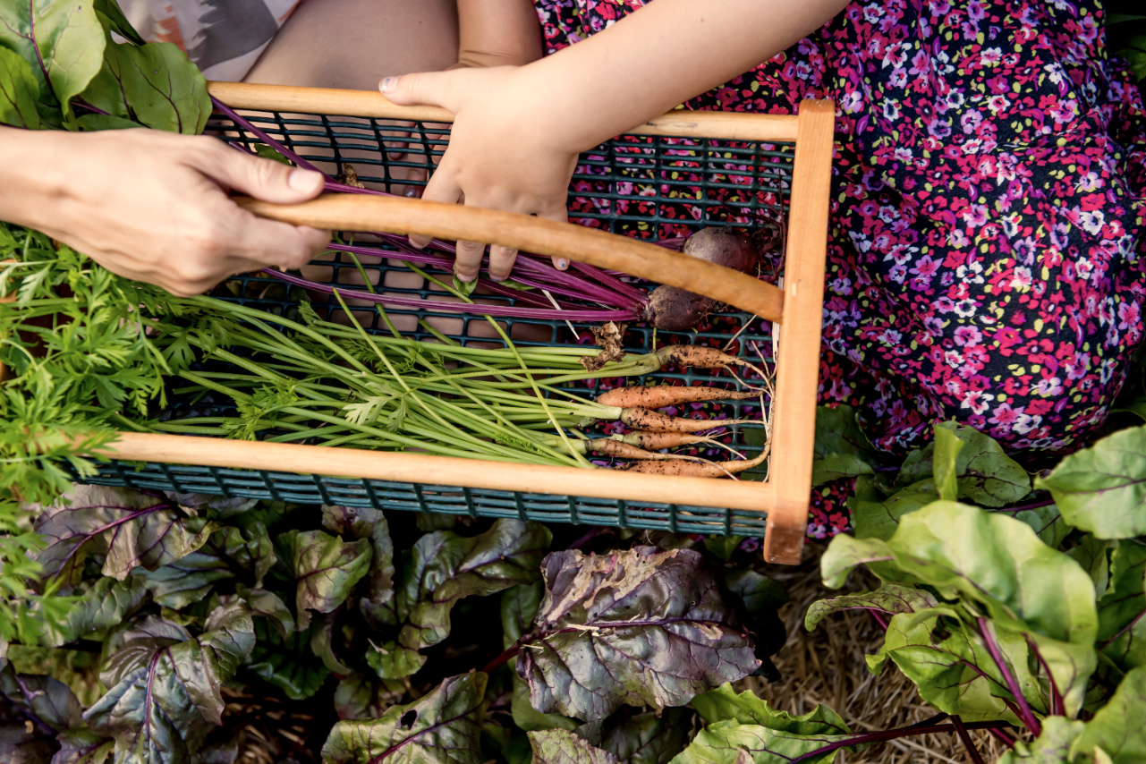 Garden Straw - Image 2