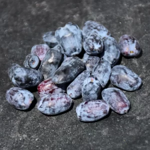 Honeyberry - Tundra + Aurora